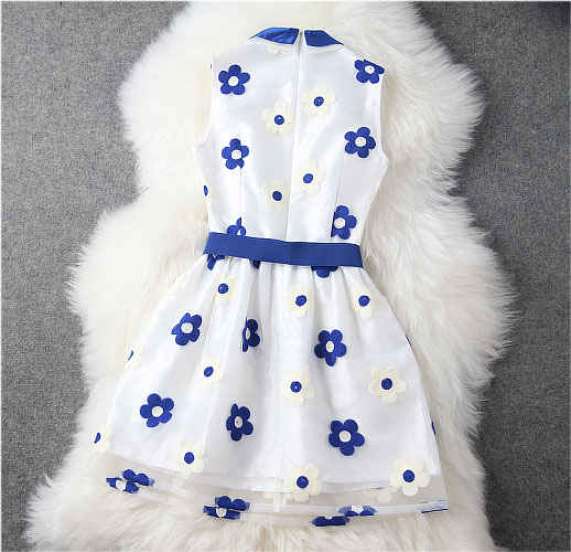 Embroidered Dress With Blue And White Daisy on Luulla